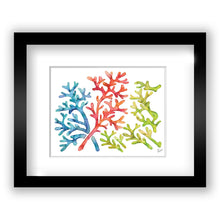 Load image into Gallery viewer, Coral "Be Colorful”