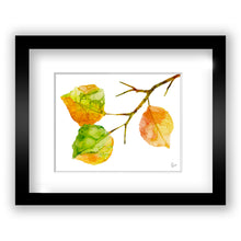 Load image into Gallery viewer, Leaves "Never Leaf"