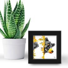 Load image into Gallery viewer, Bear "Brave Boy" - US Giftware