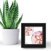 Load image into Gallery viewer, Sand Dollar "Mermaid Coins" - US Giftware