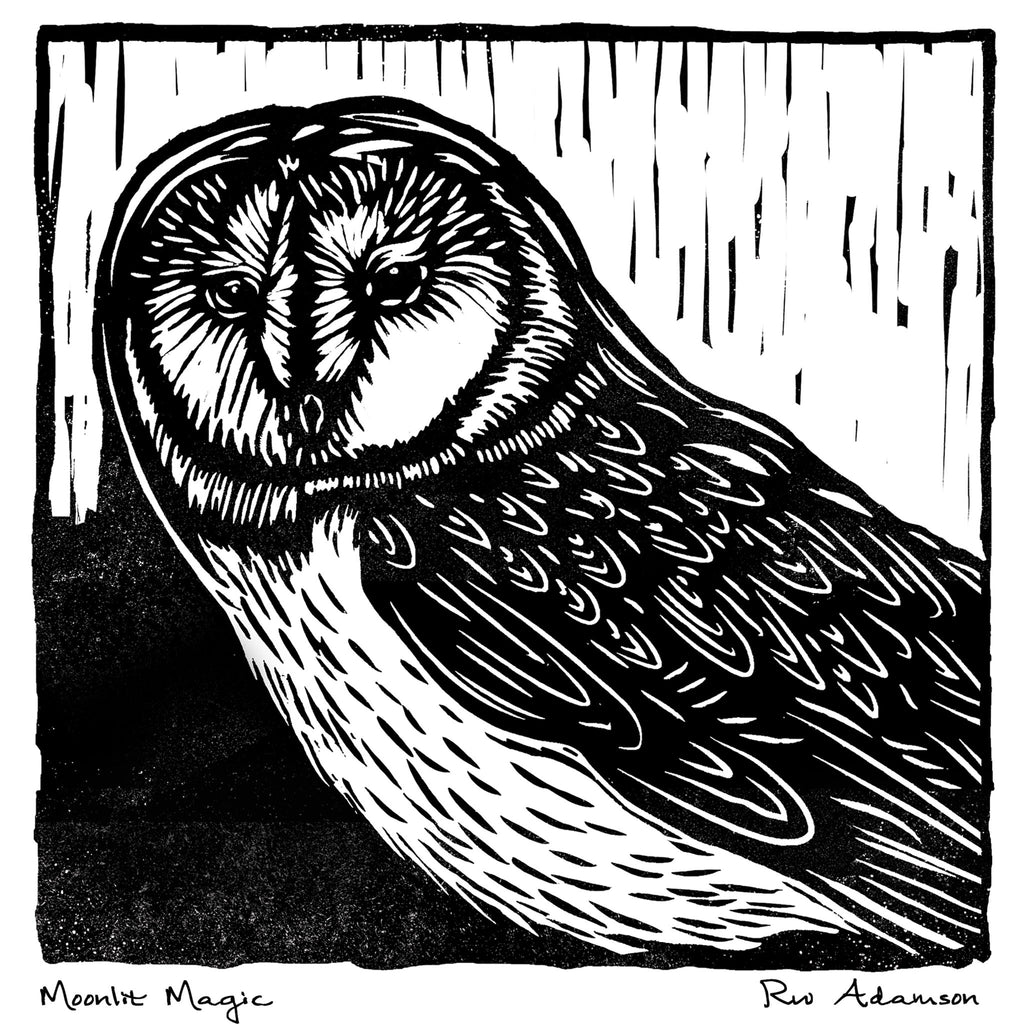 Moonlit Magic