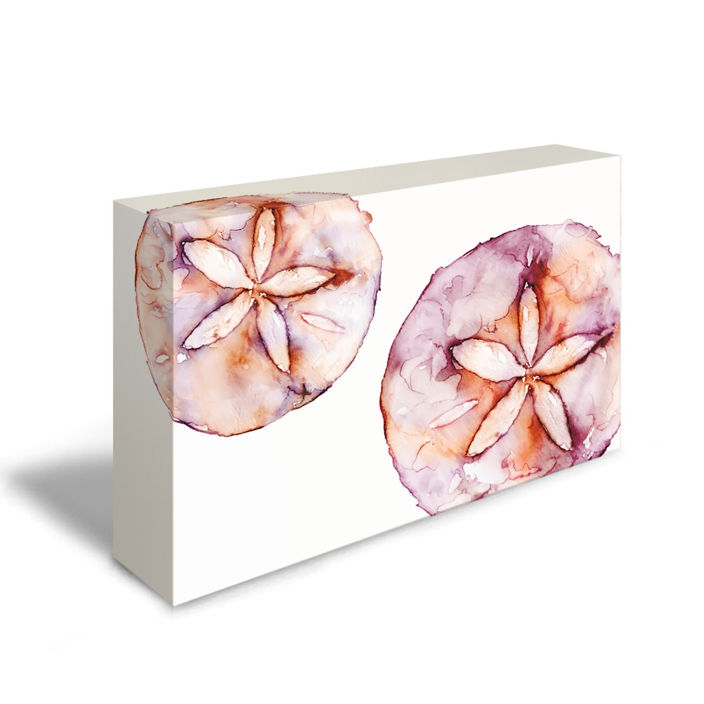 Sand Dollar Art Tile 