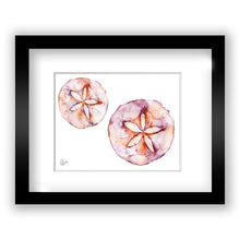 Load image into Gallery viewer, Sand Dollar &quot;Mermaid Coins&quot;
