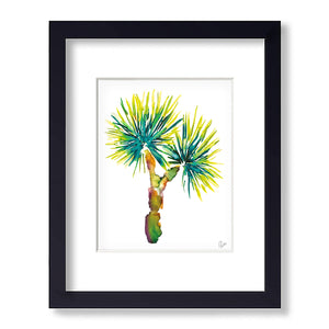 Yucca "Stuck on You"