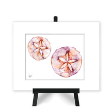 Load image into Gallery viewer, Sand Dollar &quot;Mermaid Coins&quot;
