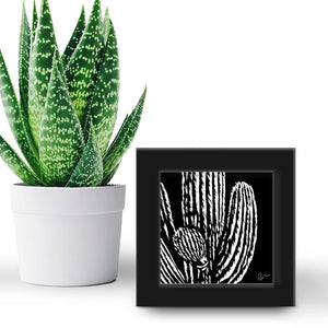 Cactus "Saguaro Sunrise" - US Giftware