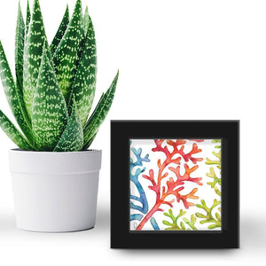 Coral "Be Colorful” - US Giftware