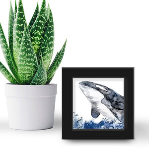 Orca "Wild & Free" - US Giftware